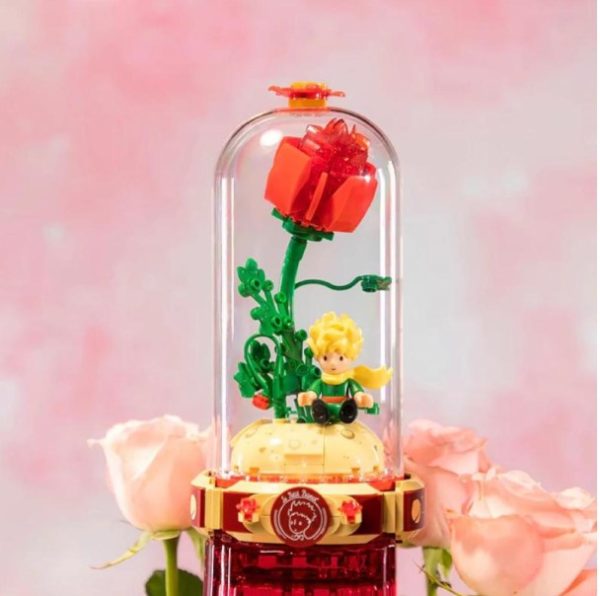 rosa2