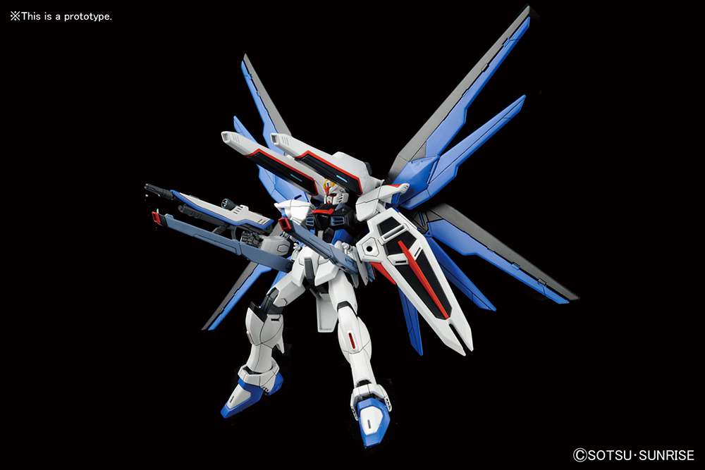 FREEDOM