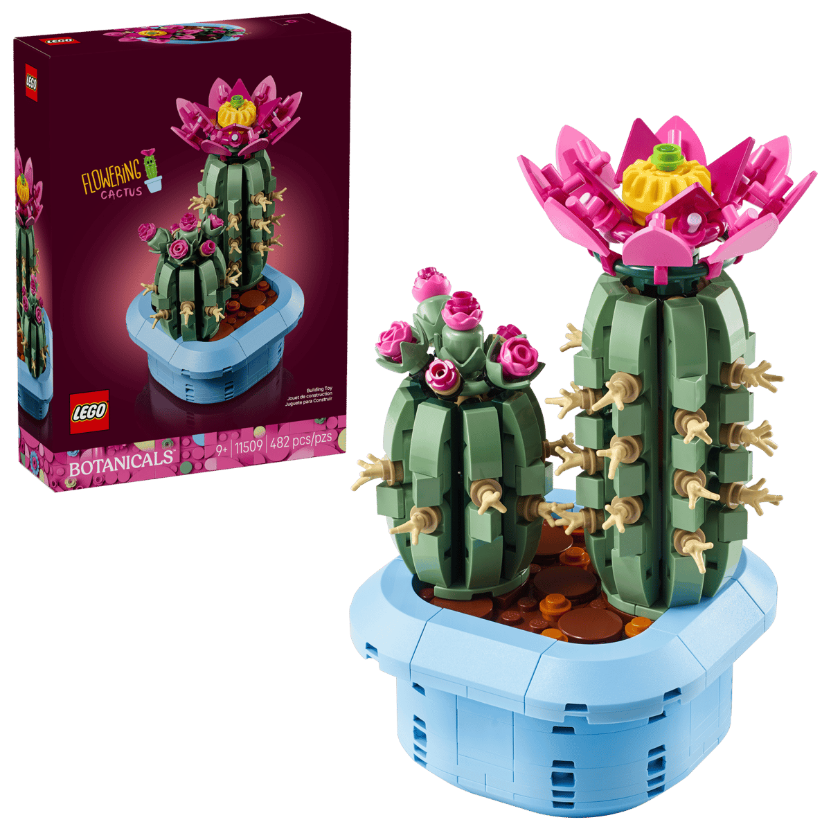 cactus2