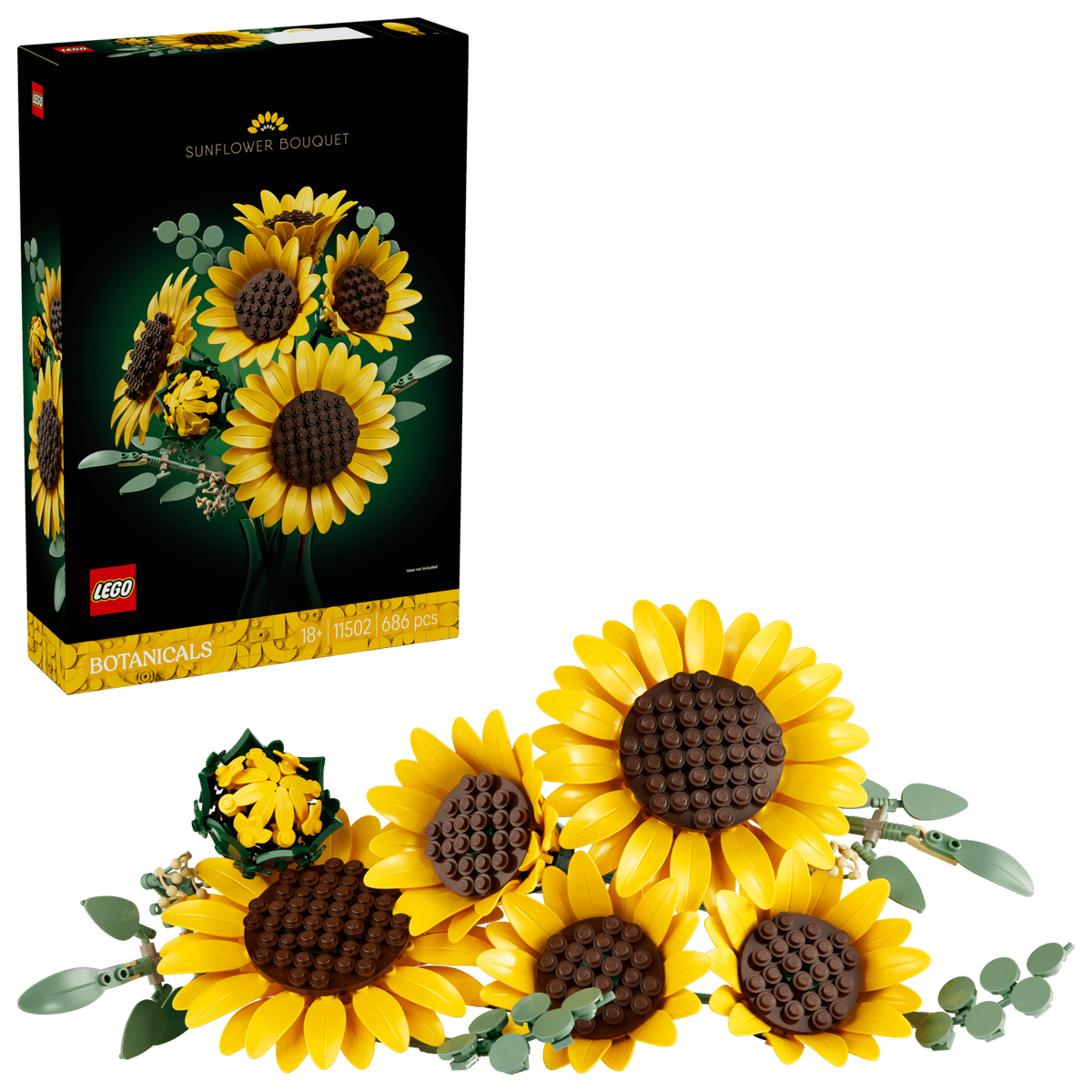 girasoli2