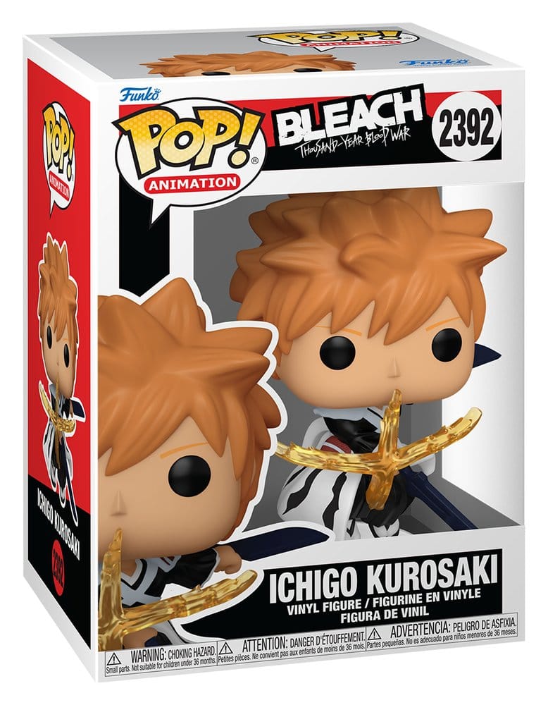 ICHIGO2