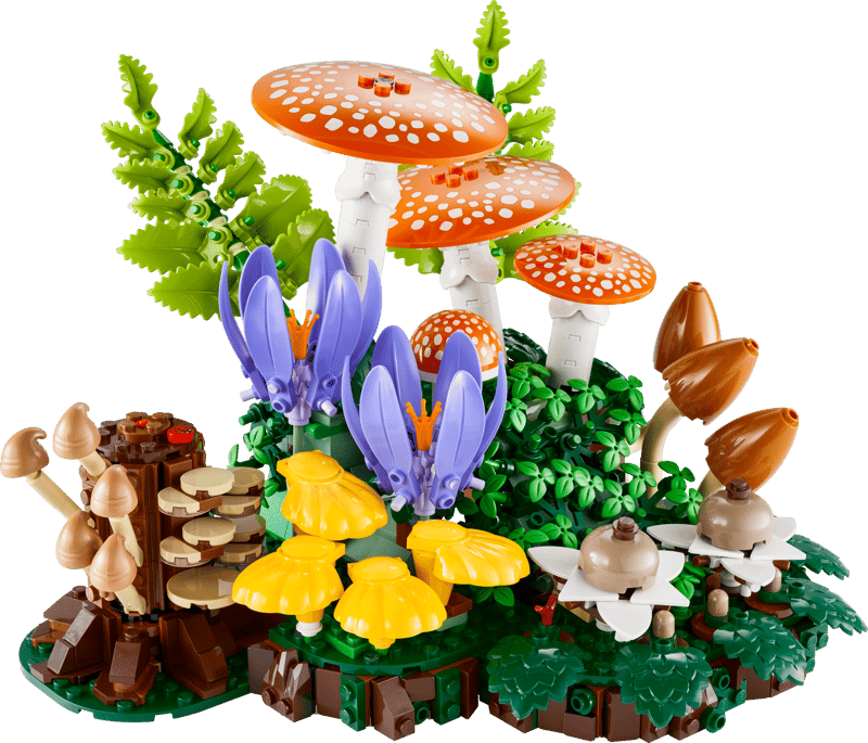 funghi2
