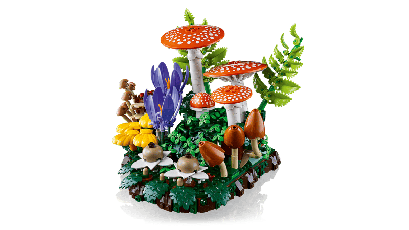 funghi3