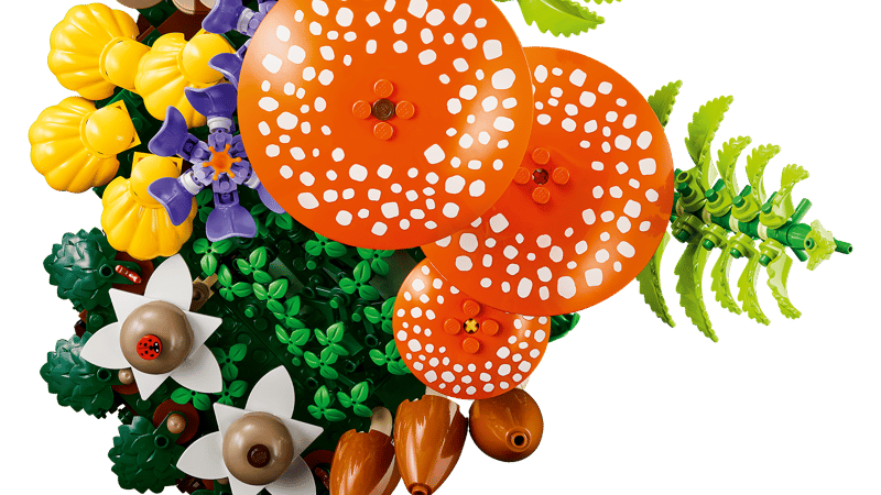 funghi4