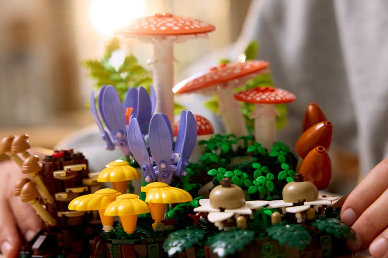 funghi5